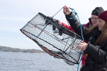 Fishing