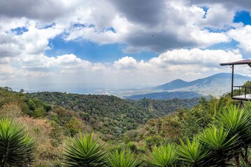 Hiking