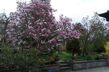 outside