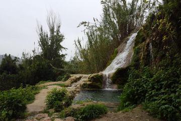 Photo 30