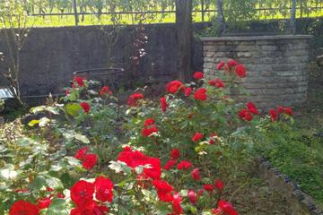 Photo 32