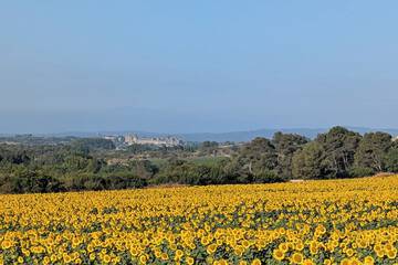 Land view from property