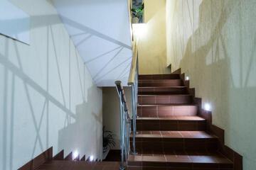 Photo 50