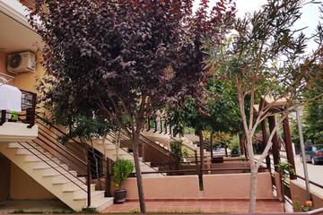 Photo 43