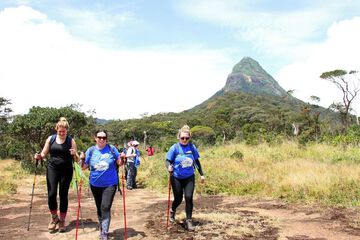 Hiking