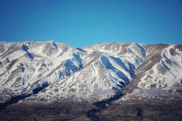 Photo 44