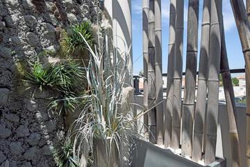 Photo 39