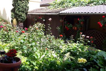 Photo 29