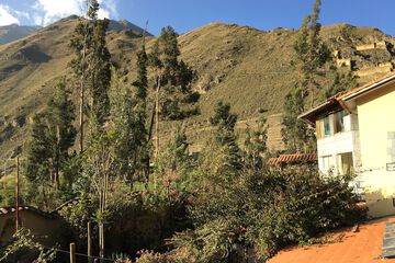 View from room
