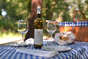 BBQ/picnic area