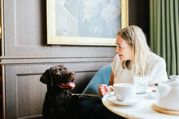 Pet-friendly