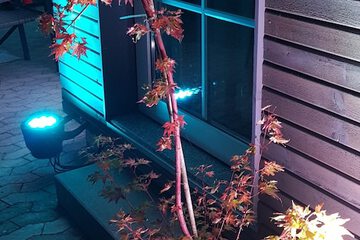 Front of property - evening/night
