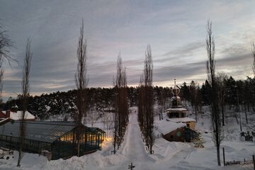 View from room