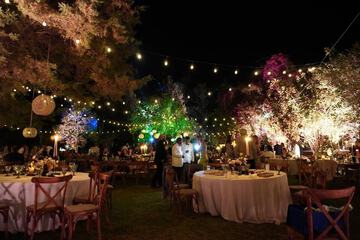 Outdoor wedding area