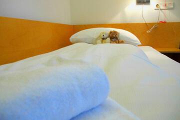 Photo 24