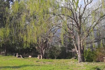 Photo 31