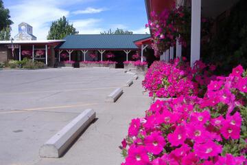 Photo 12
