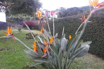 Photo 35