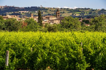 Winery