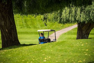 Golf cart