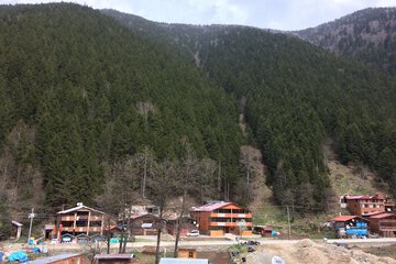 View from room