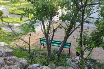 Photo 31