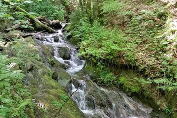 Hiking