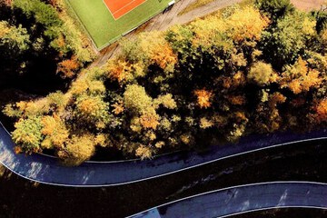 Tennis court