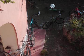 Photo 35