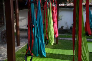 Photo 50