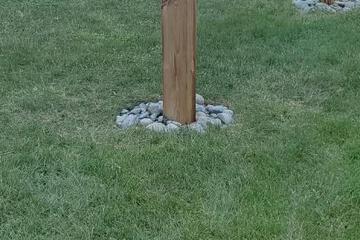 Photo 49