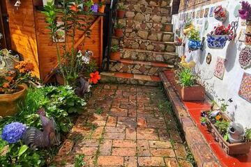 Photo 12