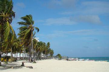 Photo 24
