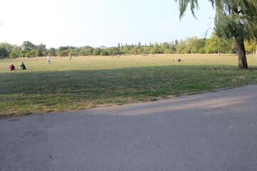 Photo 24