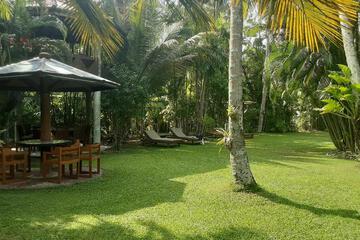 Photo 22