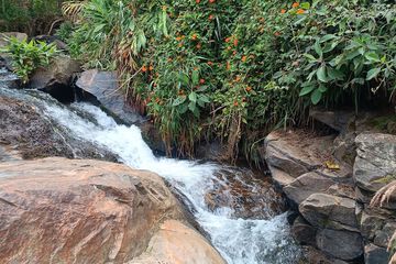 Natural pool