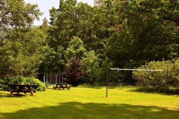 Photo 42