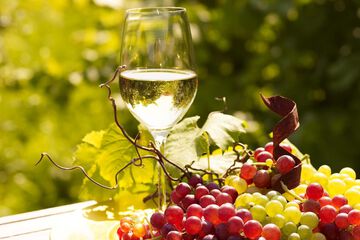 Winery