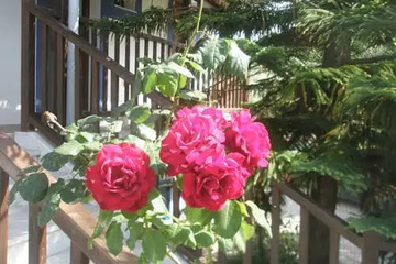 outside