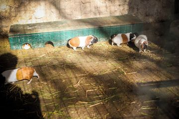 Ecotours