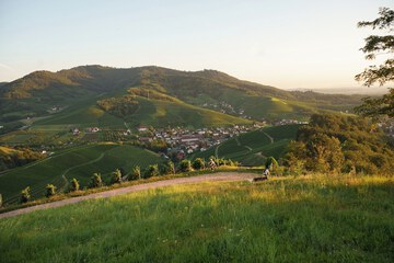 Land view from property