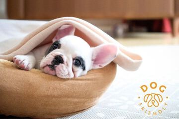Pet-friendly