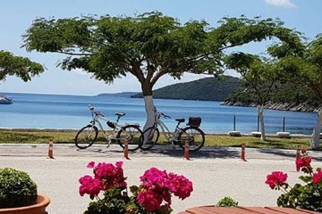 Bicycling