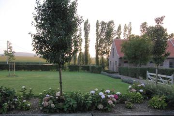 Photo 24