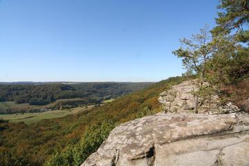 Photo 47