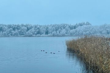 Lake