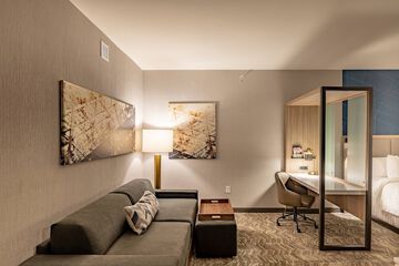 SpringHill Suites by Marriott Dallas McKinney / Allen