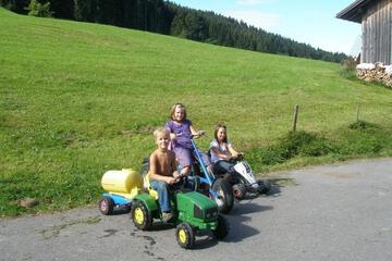 Photo 31