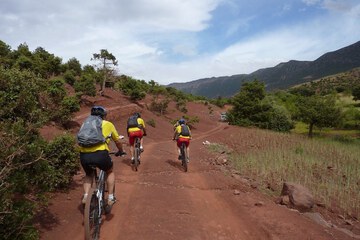 Bicycling