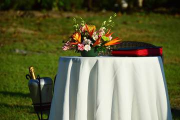 Outdoor wedding area